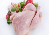 鸡肉